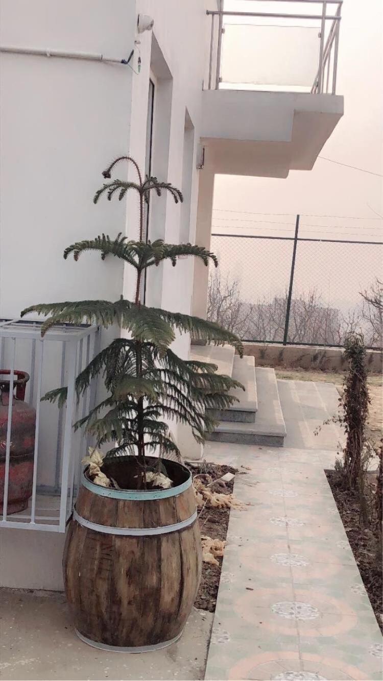Sahil Lake View Srīnagar Extérieur photo